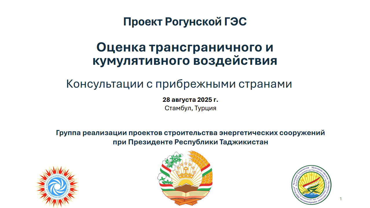 Оценка трансграничного и кумулятивного воздействия
