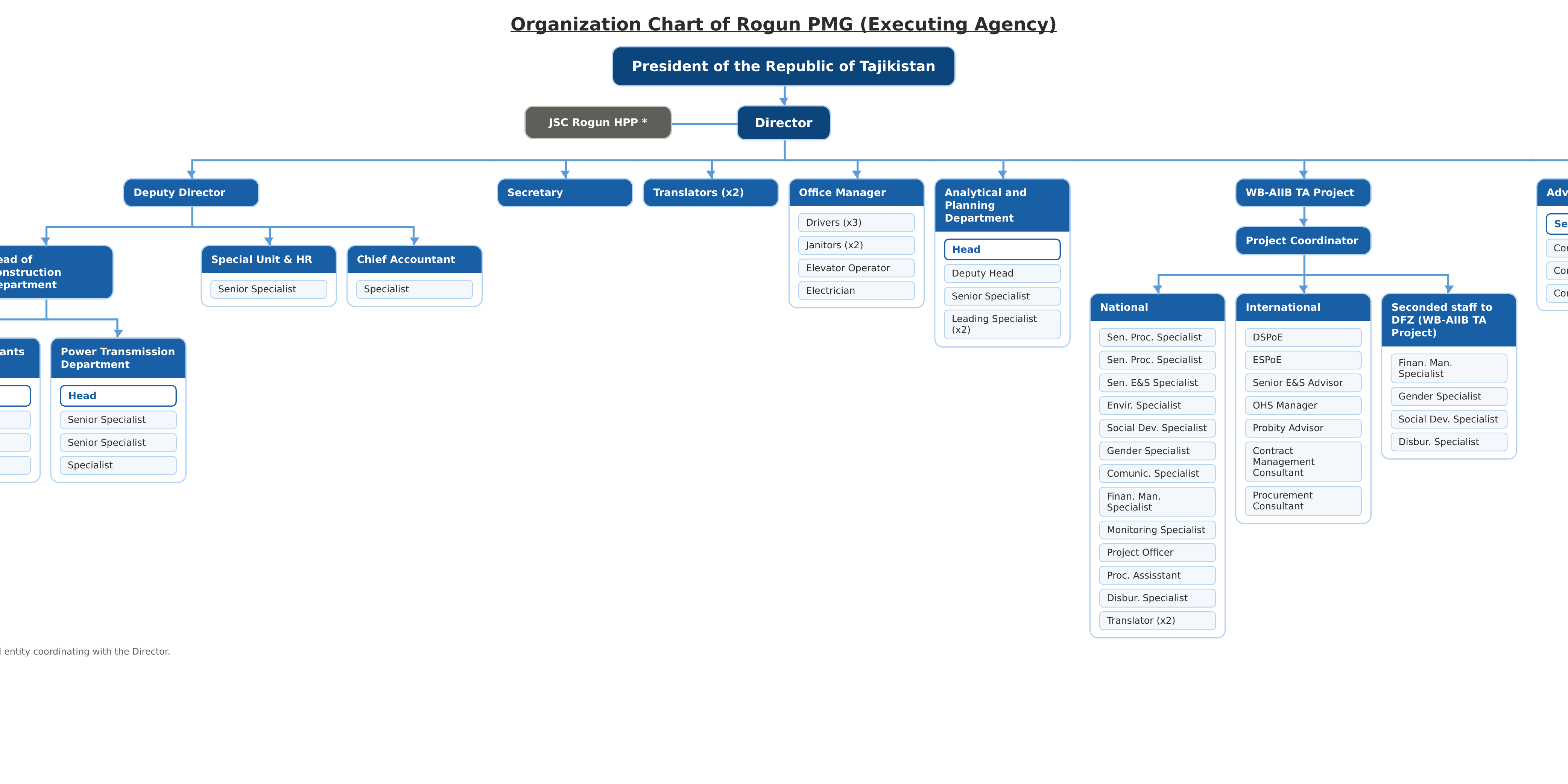 Organization Chart of Rogun PMG