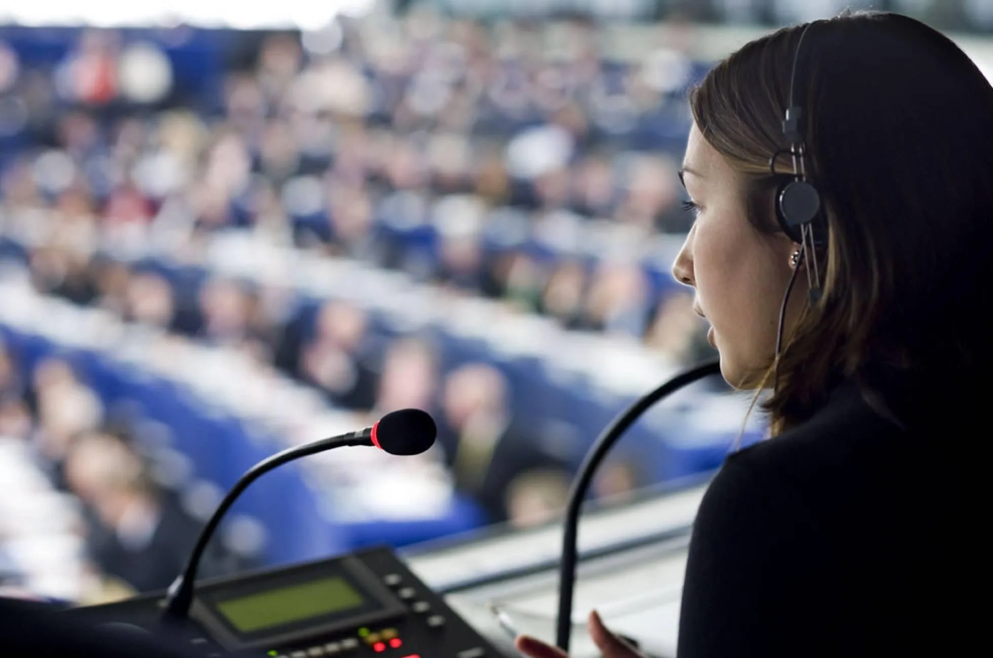 Consulting services: Translator/Interpreter