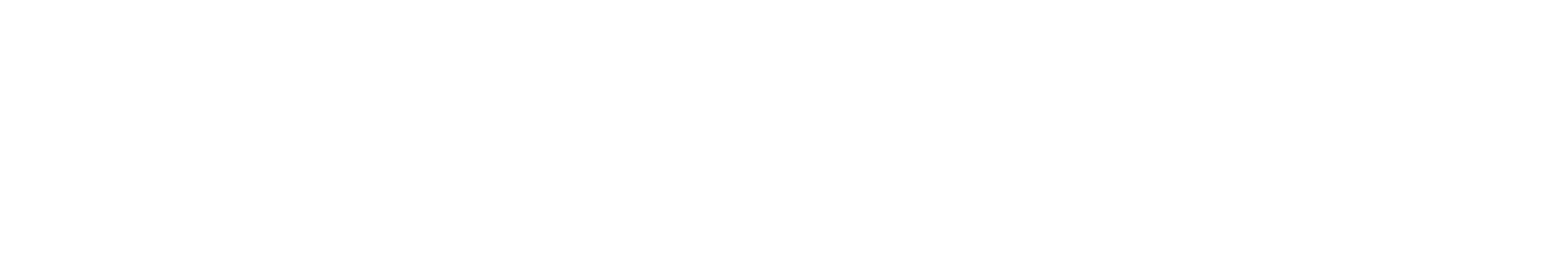 EHukumat
